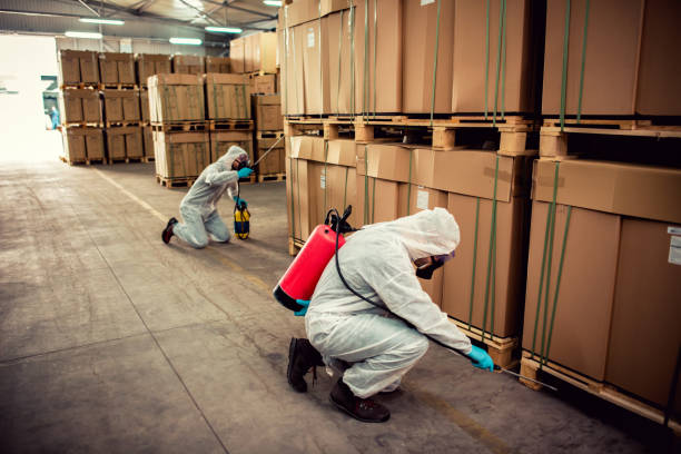 Best Bed Bug Extermination  in Pierce, NE