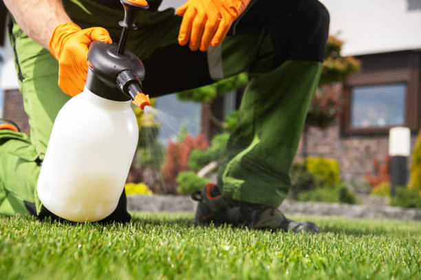 Best Local Pest Control Services  in Pierce, NE
