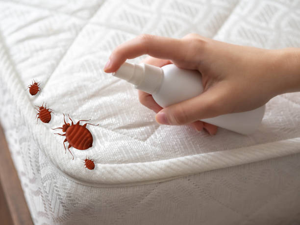 Best Commercial Pest Control Services  in Pierce, NE